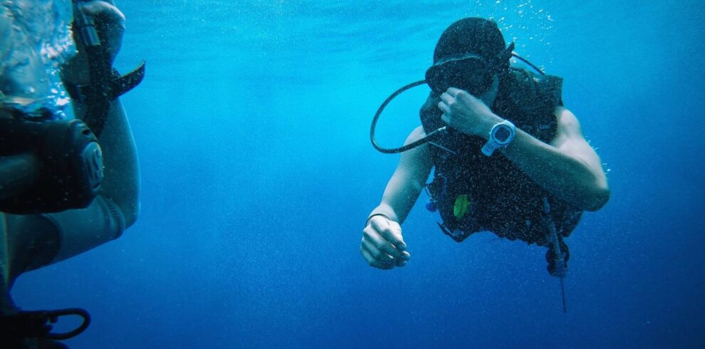 sea-ocean-recreation-diving-underwater-biology-76680-pxhere.com-1